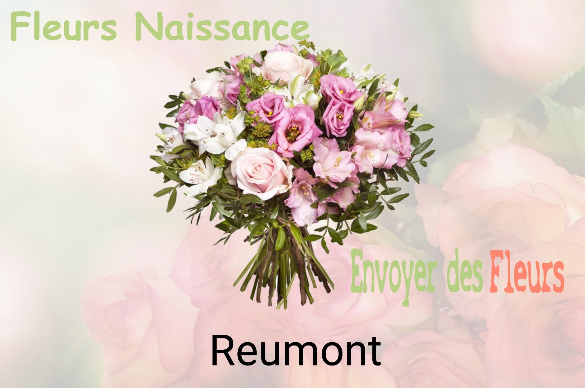 Bouquet de fleurs de naissance livré à Reumont